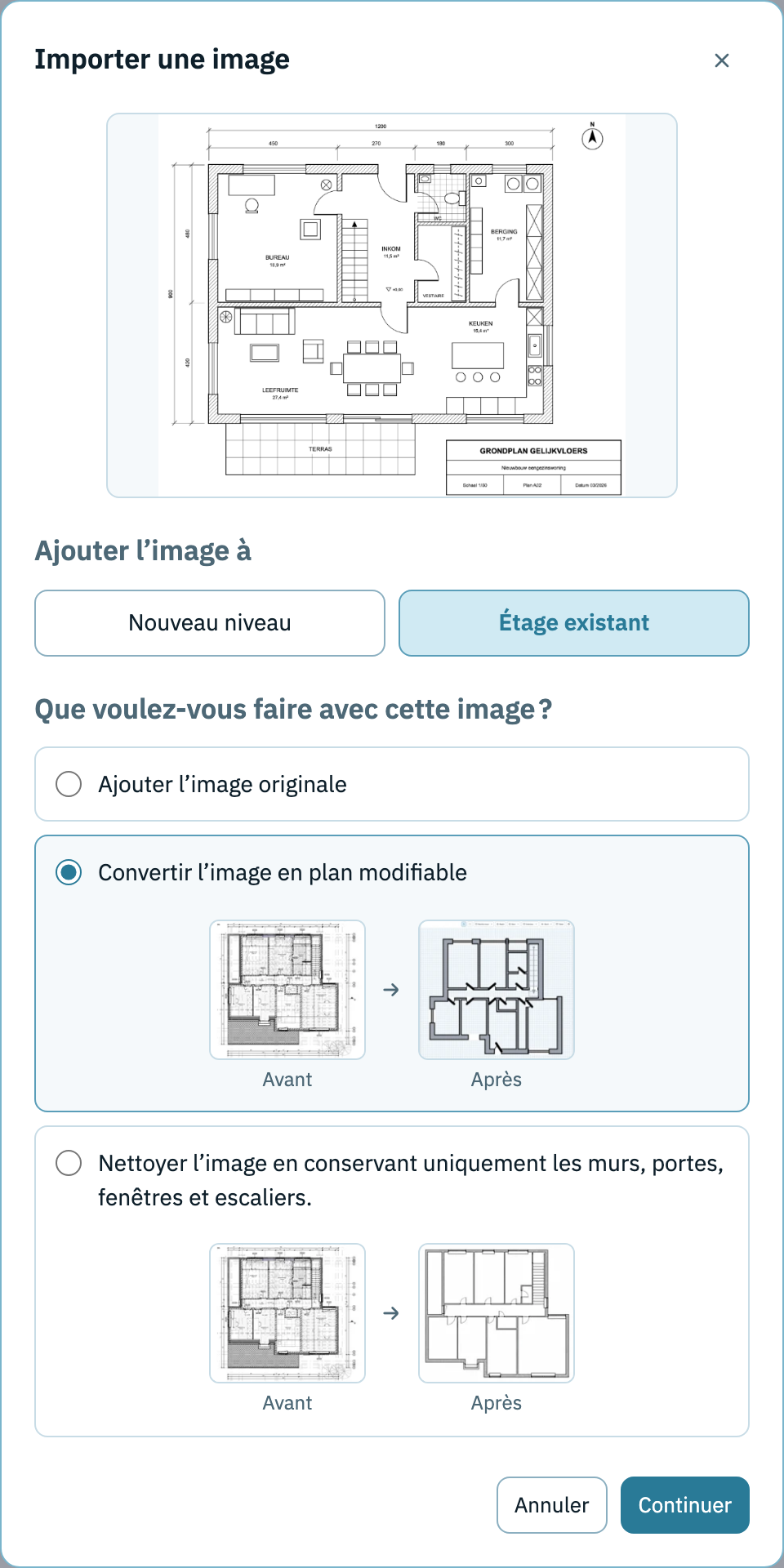 import window with the choice of floor and the choice to add the image unchanged, convert it into an editable layout or clean it up